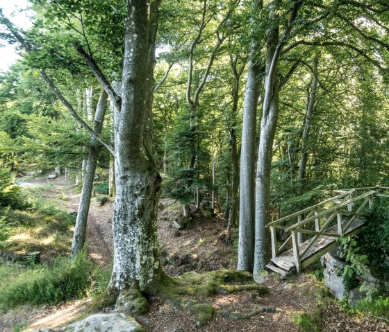 Sentier de randonn&eacute;e idyllique &agrave; l'abbaye de Schankweiler sur le Klausnerweg, &copy; Eifel Tourismus GmbH, D. Ketz