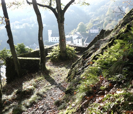 Ein Waldweg f&uuml;hrt durch B&auml;ume und Farn, mit Blick auf Geb&auml;ude in Neuerburg. Die Szene ist von Sonnenlicht durchflutet., &copy; Christian Calonec-Rauchfuss, Felsenland S&uuml;deifel Tourismus GmbH
