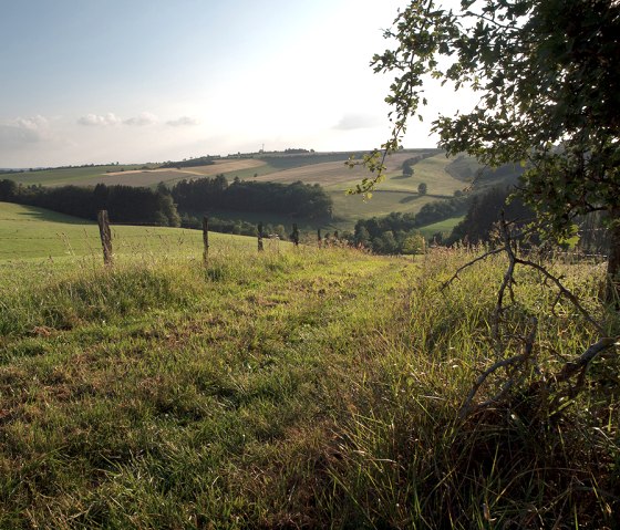 Brook path, meadow path, © Naturpark Südeifel, V. Teuschler