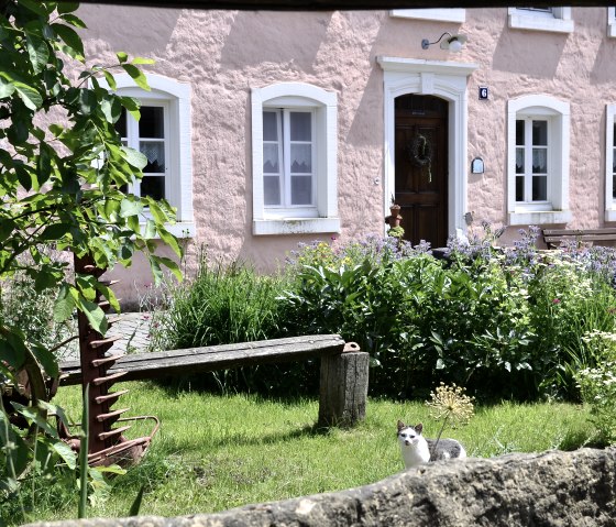 Rosa Bauernhaus mit weißen Fenstern, umgeben von blühendem Garten. Eine Katze sitzt im Vordergrund auf dem Rasen., © TI Bitburger Land