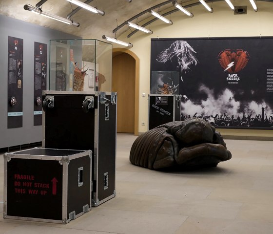 Die Ausstellung „Rock fossils", © 10tons - Esben Horn