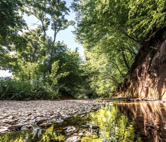 Uitzicht op de rode zandstenen muur Roter Puhl, &copy; Eifel Tourismus GmbH, D. Ketz