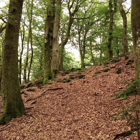 Hauptwall der Wikingerburg von der Außenseite, © Felsenland Südeifel Tourismus GmbH