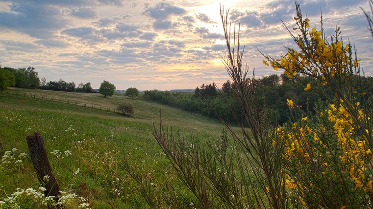 Landschaft mit Wiesen, Büschen und bewölktem Himmel bei Sonnenuntergang.
