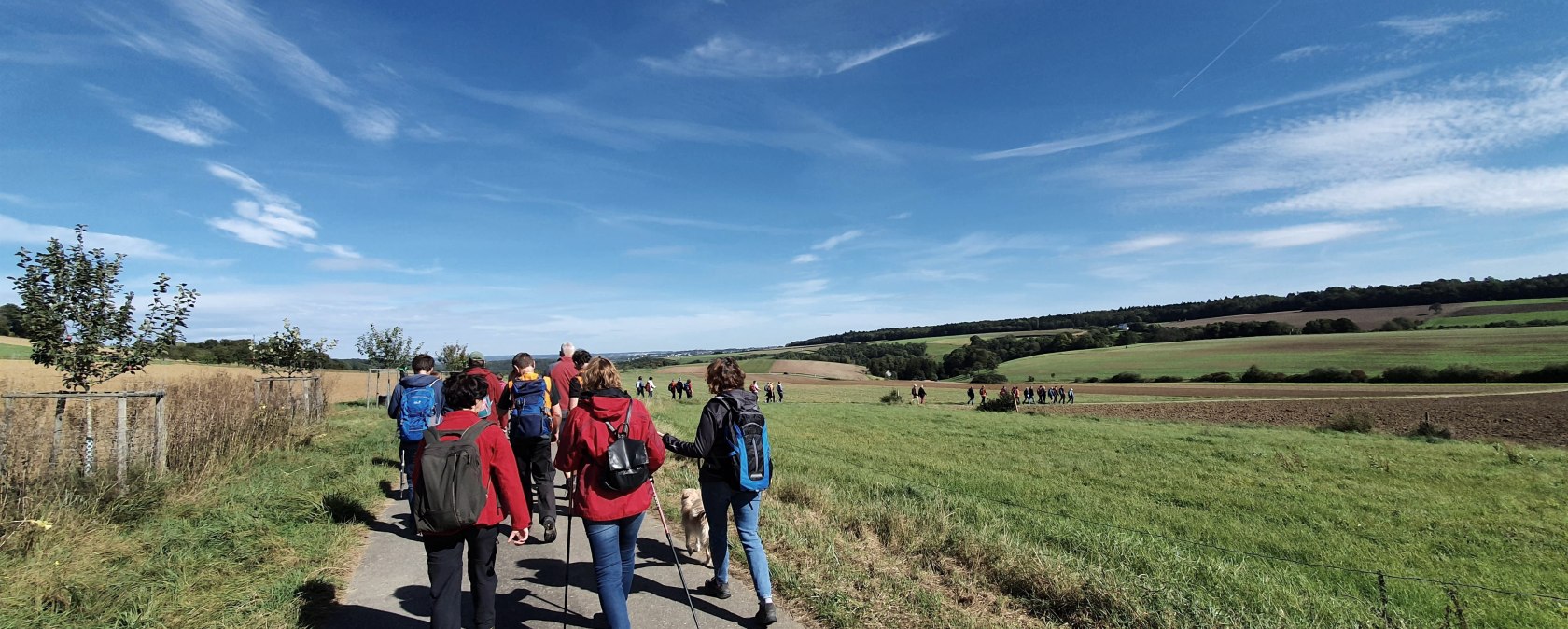 Unterwegs während der Wanderwoche Südeifel, © Felsenland Südeifel Tourismus GmbH