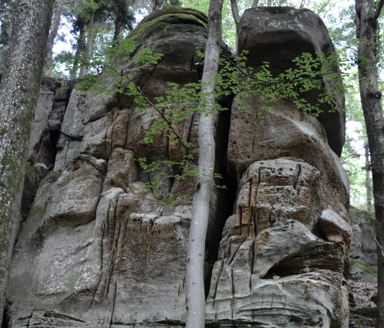 Large rock formation in the forest, surrounded by trees. The rocks are marked by erosion and overgrown with moss., &copy; Lauschtour.de