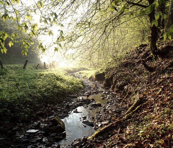 Piste de rempart Weidingen, petit ruisseau, © Naturpark Südeifel, Volker Teuschler