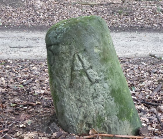 A moss-covered boundary stone with engraved letters stands in the forest, surrounded by foliage and trees., &copy; Elke Wagner, Felsenland S&uuml;deifel Tourismus GmbH