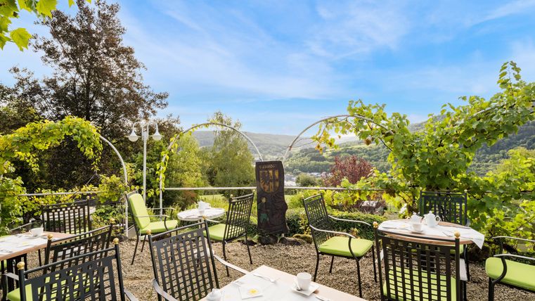Unsere gemütliche Rosenterrasse mit grünen Stühlen und Tischen, umgeben von Reben und Pflanzen. Im Hintergrund erstreckt sich eine malerische Landschaft unter einem klaren Himmel.