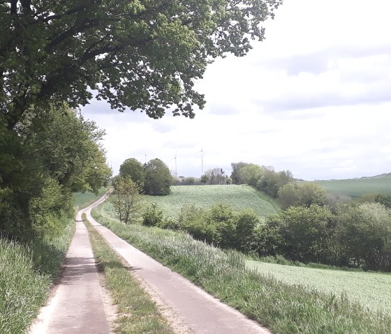 Op de Egtberg, © Felsenland Südeifel Tourismus, Natalie Mainz