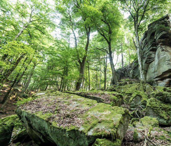 Predigtstuhl rotsformatie in het NaturWanderPark delux, © Eifel Toursimus GmbH, D. Ketz