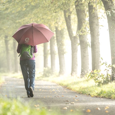 Tipps für Regentage, © Eifel Tourismus GmbH, Dominik Ketz