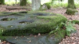 Kiesgräber - Grabgruben im gewachsenen Fels, © Felsenland Südeifel Tourismus GmbH
