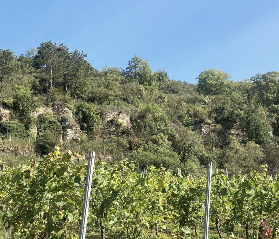 Vines, © Felsenland Südeifel Tourismus GmbH, Anna Carina Krebs