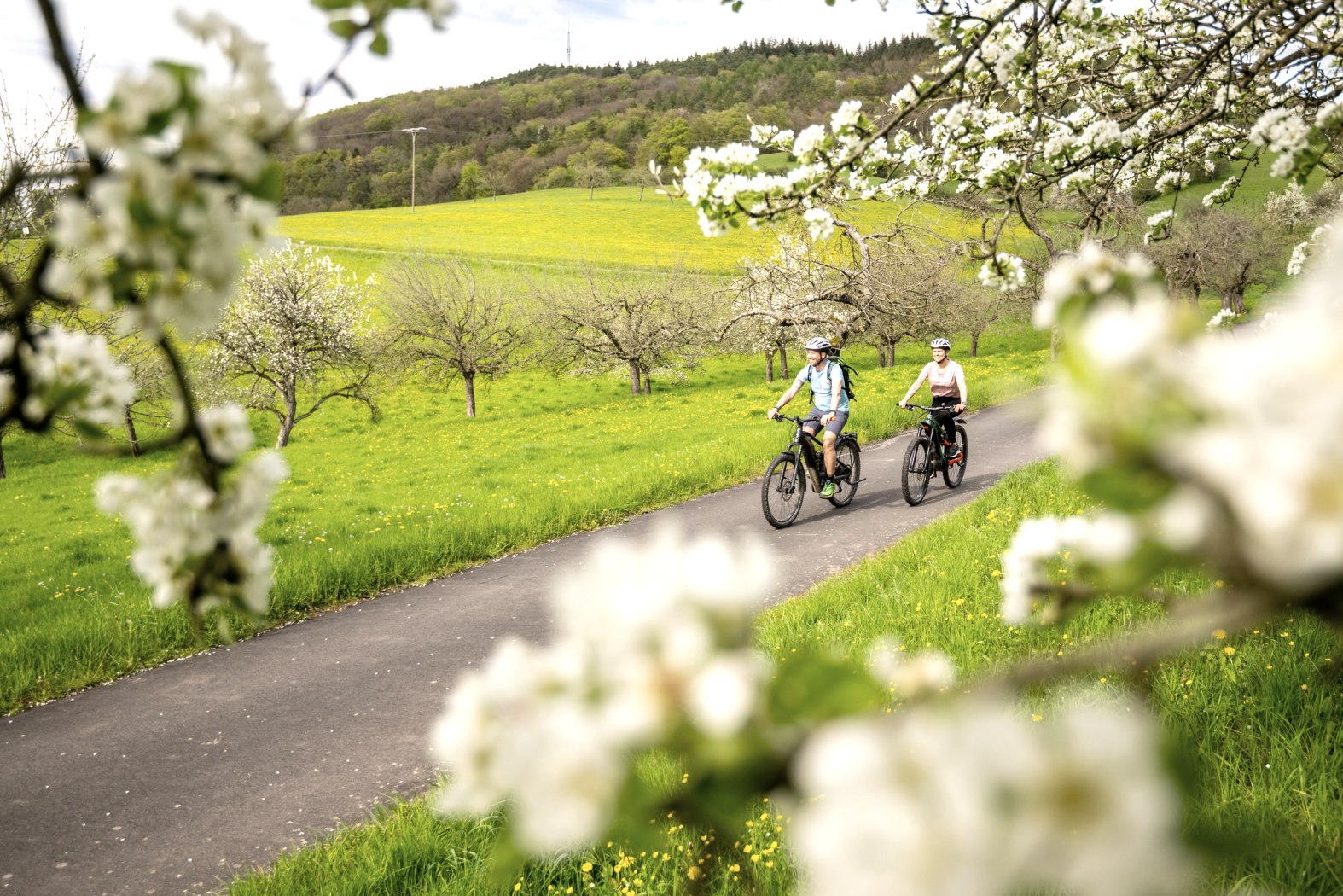 Streuobstwiesen im Prümtal, © Eifel Tourismus GmbH, Dominik Ketz