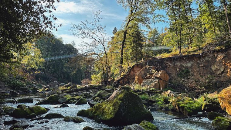Ein ruhiger Fluss fließt durch eine grüne Landschaft mit Bäumen und Felsen. Das Wasser spiegelt den klaren Himmel und die Natur wider.