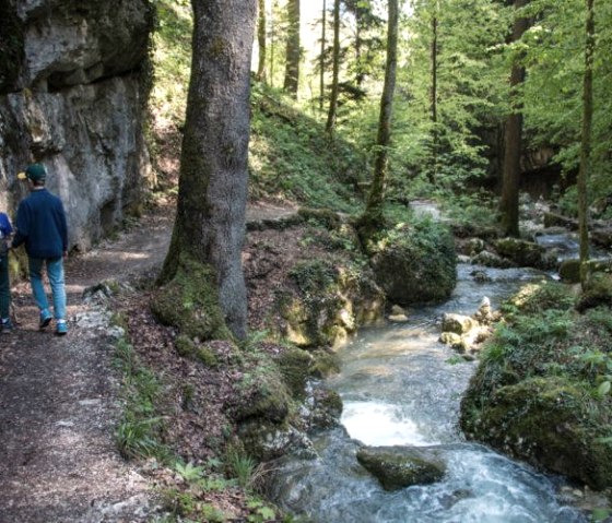 Familienwanderung an romantischeBachl&auml;ufen entlang