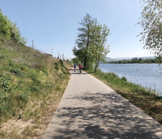 Zwei Radfahrer fahren auf einem asphaltierten Weg entlang eines Flusses. Die Sonne scheint, Bäume und Büsche säumen den Weg., © Tourist-Information Bitburger Land, Steffi Wagner