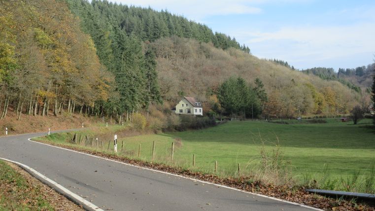 Ländliche Straße mit Kurve, umgeben von Wiesen und Wäldern, mit einem Haus im Hintergrund.