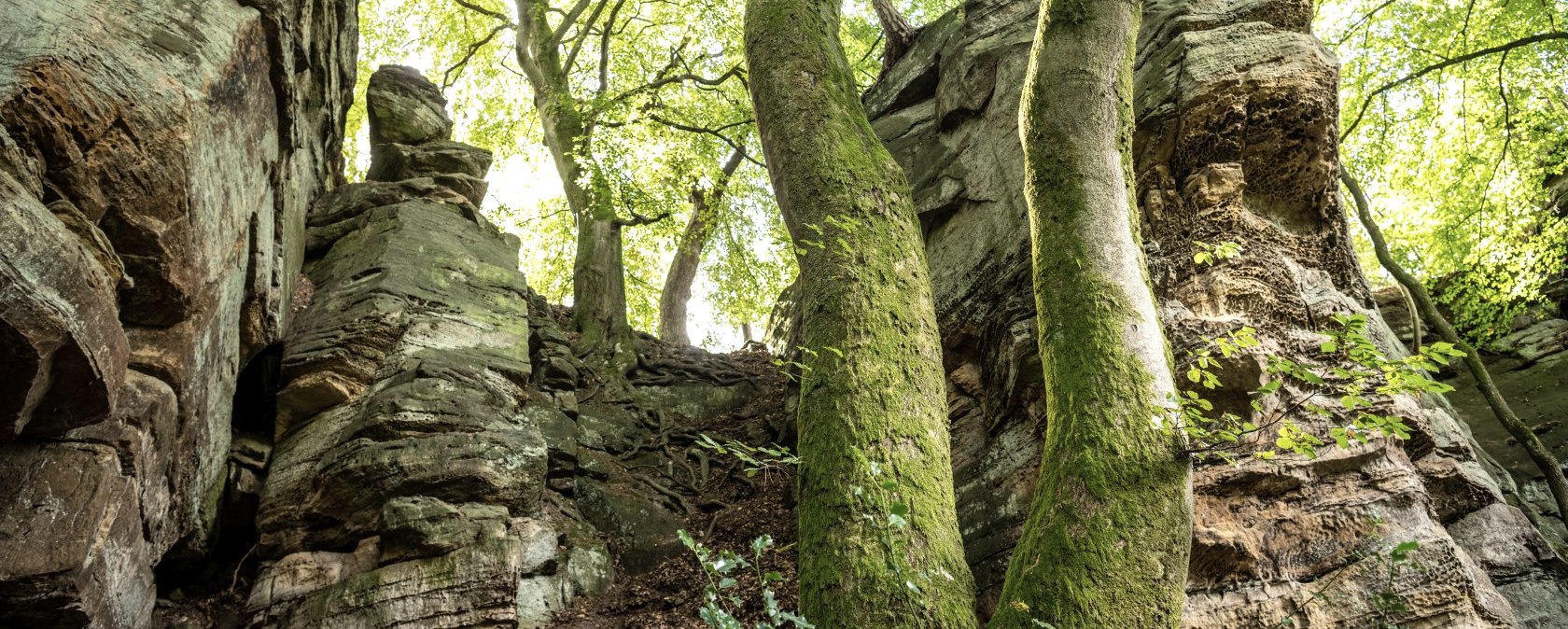 Rotsen bij de Mandrack Passage in het NaturWanderPark delux, © Eifel Toursimus GmbH, D. Ketz