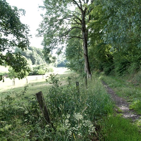 In de Lammbach Vallei, © V. Teuschler