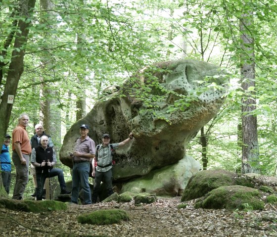 A group of people stand in front of a large, mossy rock in the forest that looks like a bear's head. Dense trees surround the scene., &copy; Elke Wagner, Felsenland S&uuml;deifel Tourismus GmbH