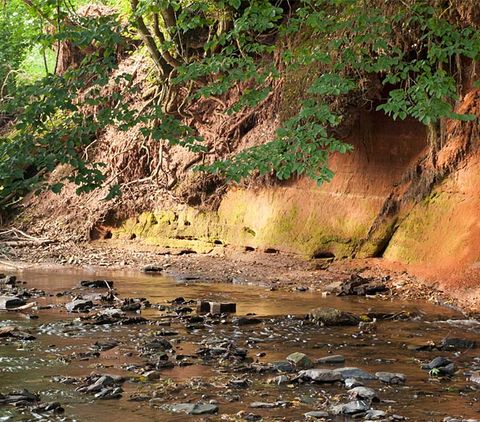 Ein kleiner Bach fließt an einer rötlichen Erdwand entlang, umgeben von grünen Bäumen.