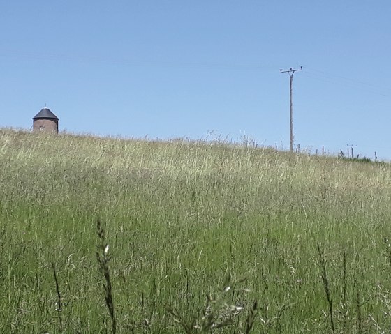 The water tower in Utscheid-Buscht, © Felsenland Südeifel Tourismus, Natalie Mainz