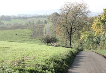 img_8409, &copy; N. Mainz