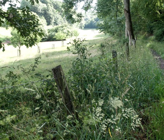 Dans la vallée de l'Agneau, © V. Teuschler