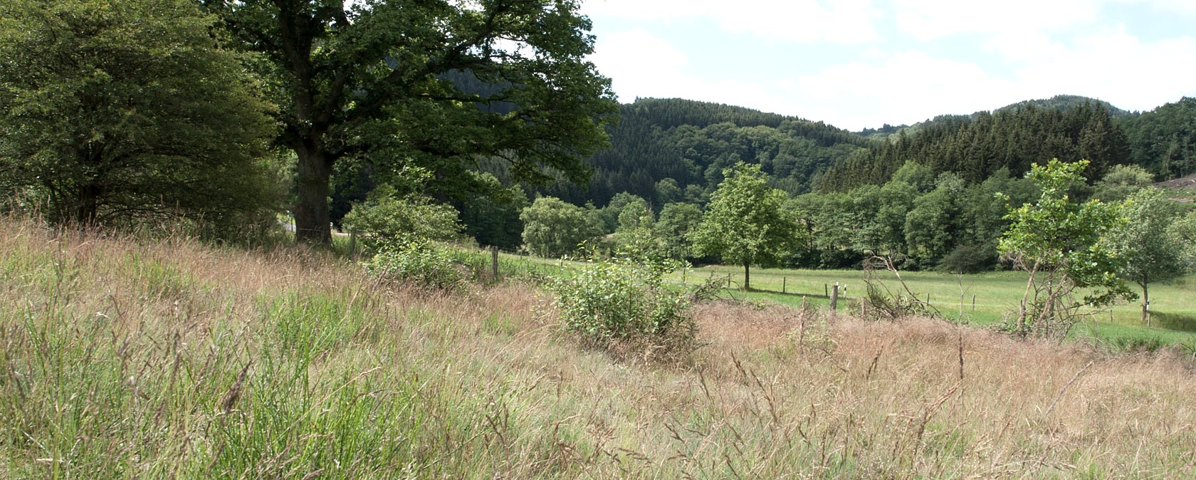 Eifel Vallei, © V. Teuschler