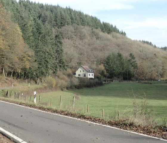 Une route de campagne sinueuse traverse un paysage verdoyant de prairies et de forêts. Une maison isolée se trouve à la lisière de la forêt., © Felsenland Südeifel Tourismus GmbH, Natalie Mainz