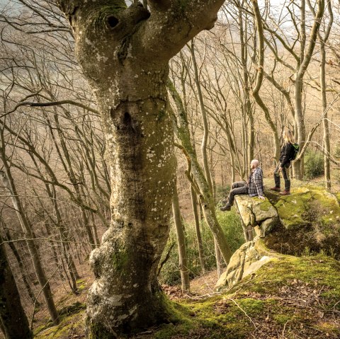 Zwei Personen stehen und sitzen auf einem moosbedeckten Felsen in einem kahlen Wald. Die Bäume sind hoch und dicht, ohne Laub., © Eifel Tourismus GmbH, D. Ketz