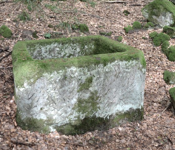 Ein moosbedeckter, rechteckiger Steinblock liegt auf einem Waldboden voller Laub., © Lauschtour.de