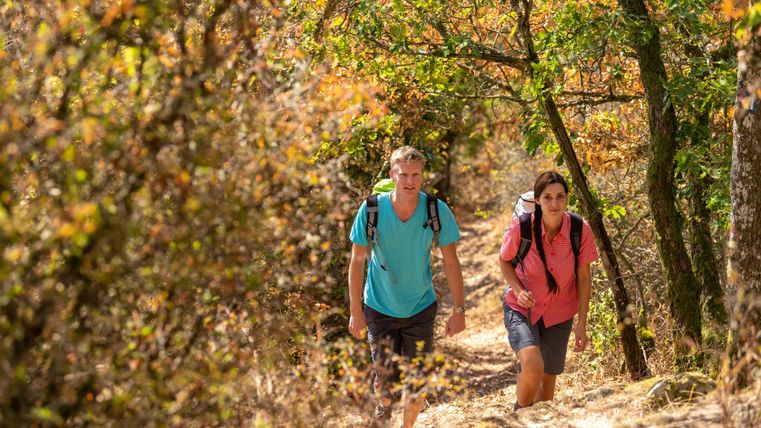 Zwei Wanderer gehen einen schmalen Pfad durch einen herbstlichen Wald. Die Bäume sind bunt gefärbt und die Sonne scheint freundlich.