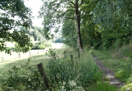 In the Lammbach Valley, &copy; V. Teuschler