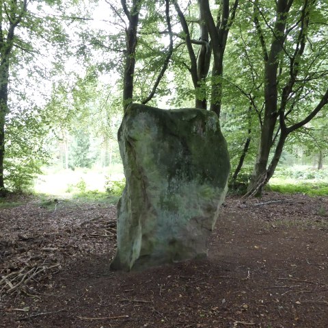 Druid stone Bollendorf from the "back", © Elke Wagner