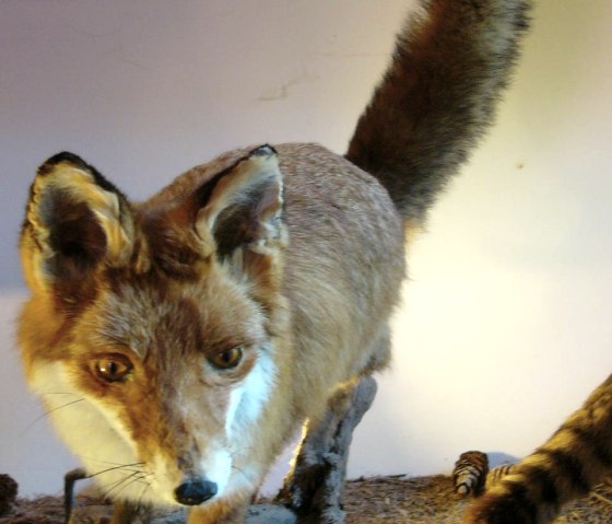 House of Hunting Ernzen - Fox model, © Holger Weber