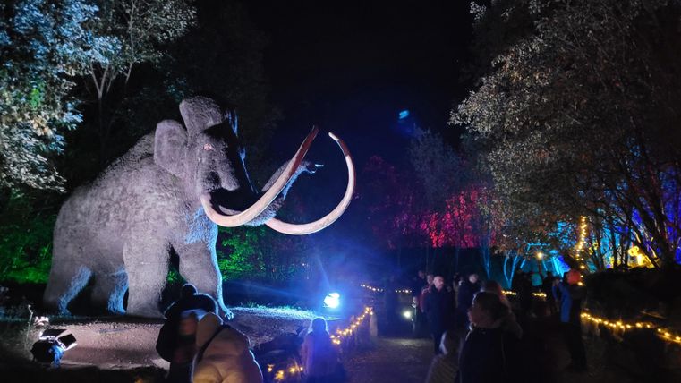 An impressive mammoth sculpture stands at the center of the image, surrounded by festive lighting and people. The scene is illuminated at night with colorful lights, creating a magical atmosphere.