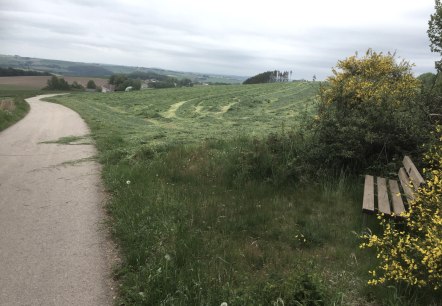 img_8143, &copy; Manuel Norta, Ammeldingen