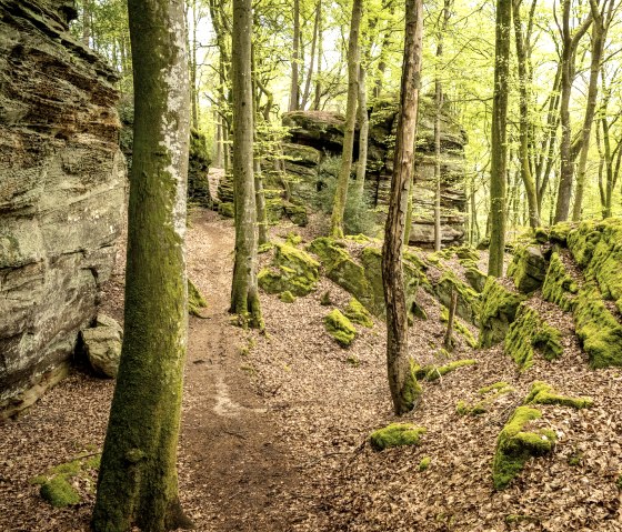 De Green Hell luistertour neemt je mee door een bizar rotslandschap, © Eifel Tourismus GmbH, Dominik Ketz