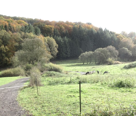 afbeelding_8614