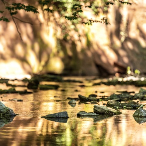Am Roten Puhl, © Eifel Tourismus GmbH