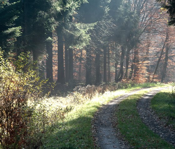 Chemin forestier près du château de Prüm, © V. Teuschler