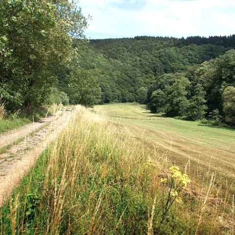 near Gentingen, &copy; V. Teuschler