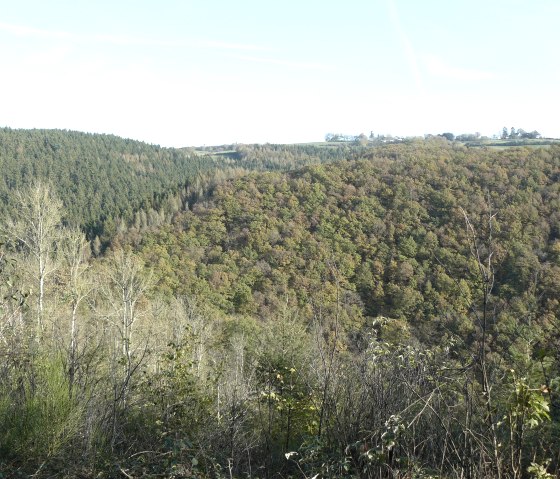 Blick von den Plascheider H&ouml;hen auf bewaldete H&uuml;gel und T&auml;ler unter klarem Himmel., &copy; Christian Calonec-Rauchfuss, Felsenland S&uuml;deifel Tourismus GmbH