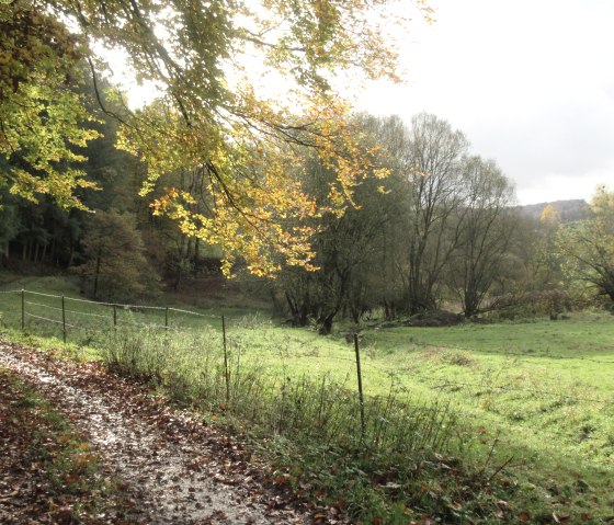 afbeelding_8627