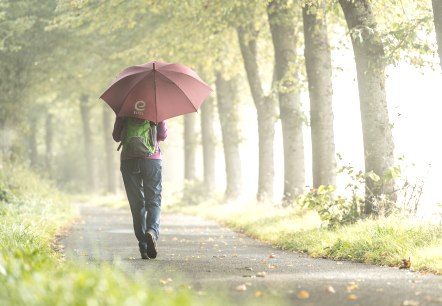Tipps für Regentage, © Eifel Tourismus GmbH, Dominik Ketz