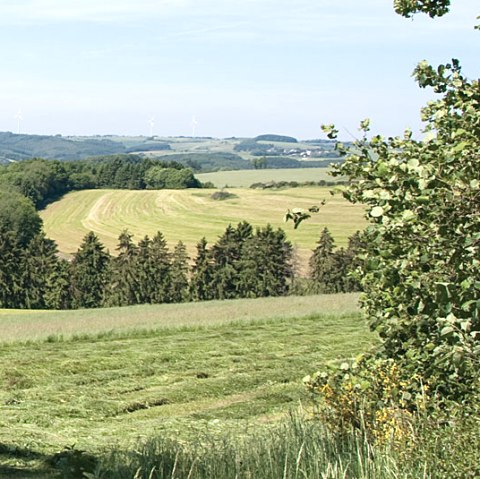 Eifel heights, © V. Teuschler