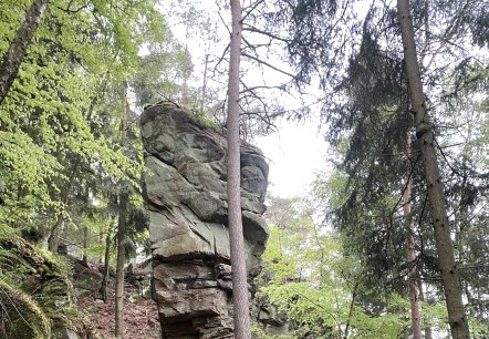 Predigtstuhl, © Felsenland Südeifel Tourismus GmbH, AC Krebs